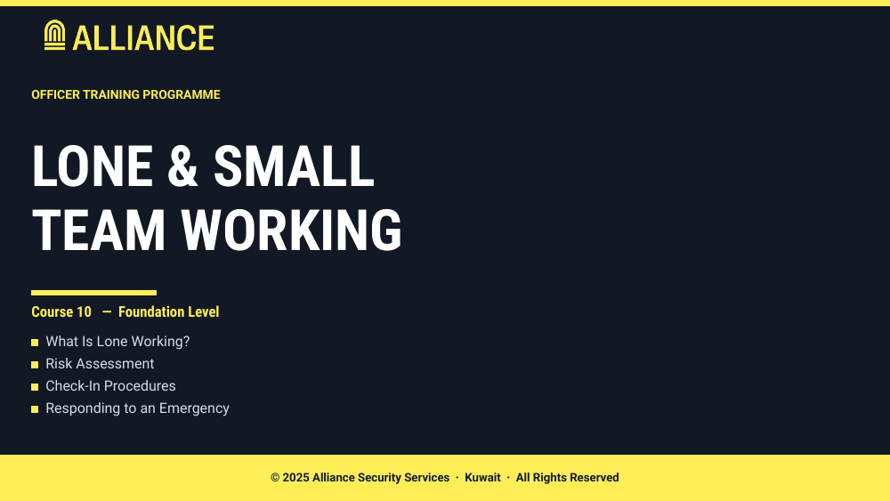 Lone & Small Team Working